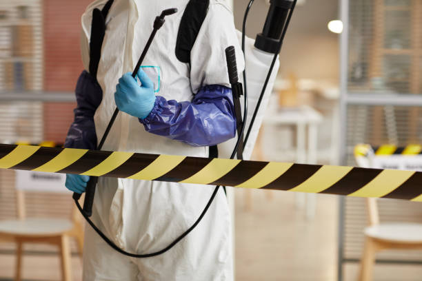 Professional Hoarding Cleanup technician working in Armstrong, TX
